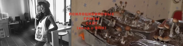 кокаин Белокуриха
