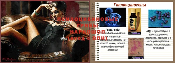 кокаин Белокуриха