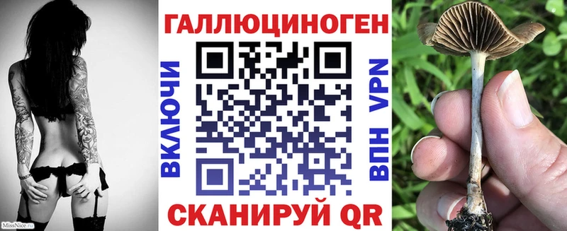 Галлюциногенные грибы Psilocybe  наркота  Верхний Тагил 